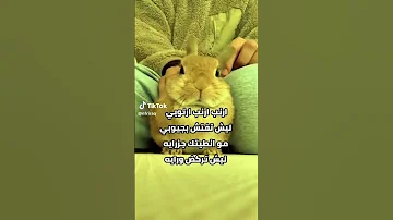 اغاني عراقية ارنب ارنب ارنوبي 