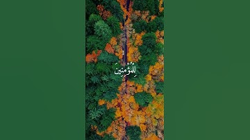 قران كريم ❤️ راحه نفسيه ل 15 ثانيه |حالة واتس