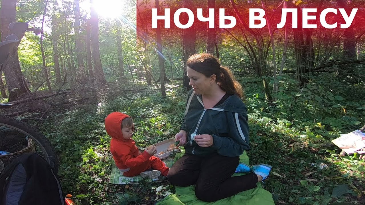 Поход в лес. Откровения у костра. - YouTube