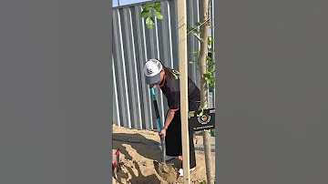 My Name My Tree My PRIME 2025 اسمي شجرتي برايم 2025 