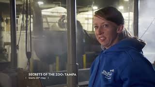 Secrets of the Zoo: Tampa