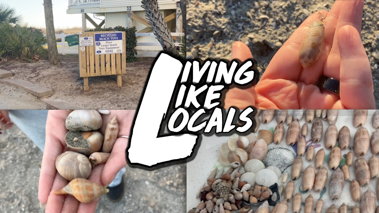 Shelling  in North Myrtle....Again