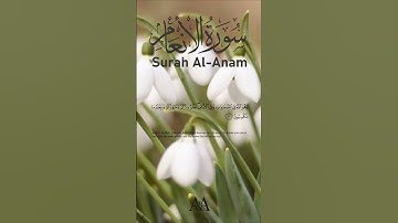 Surah Al An’am (6.3)|| سورة الانعام #short