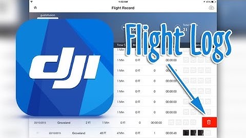 DJI Go App - Remove unwanted Flight Records from your History