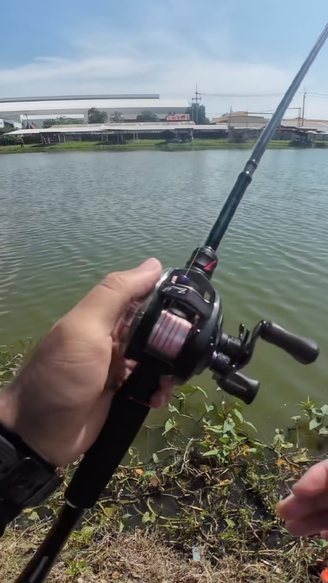 The old reel still works great! 😊👍🎣💚🌿#megabass #zonda68