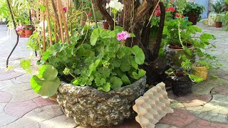 картинка: КАШПО ИЗ ЯИЧНЫХ ЛОТКОВ И КЛЕЯ ДЛЯ ПЛИТКИ.