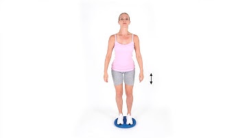 Wobble Cushion Dyna Disc Double Leg Squat