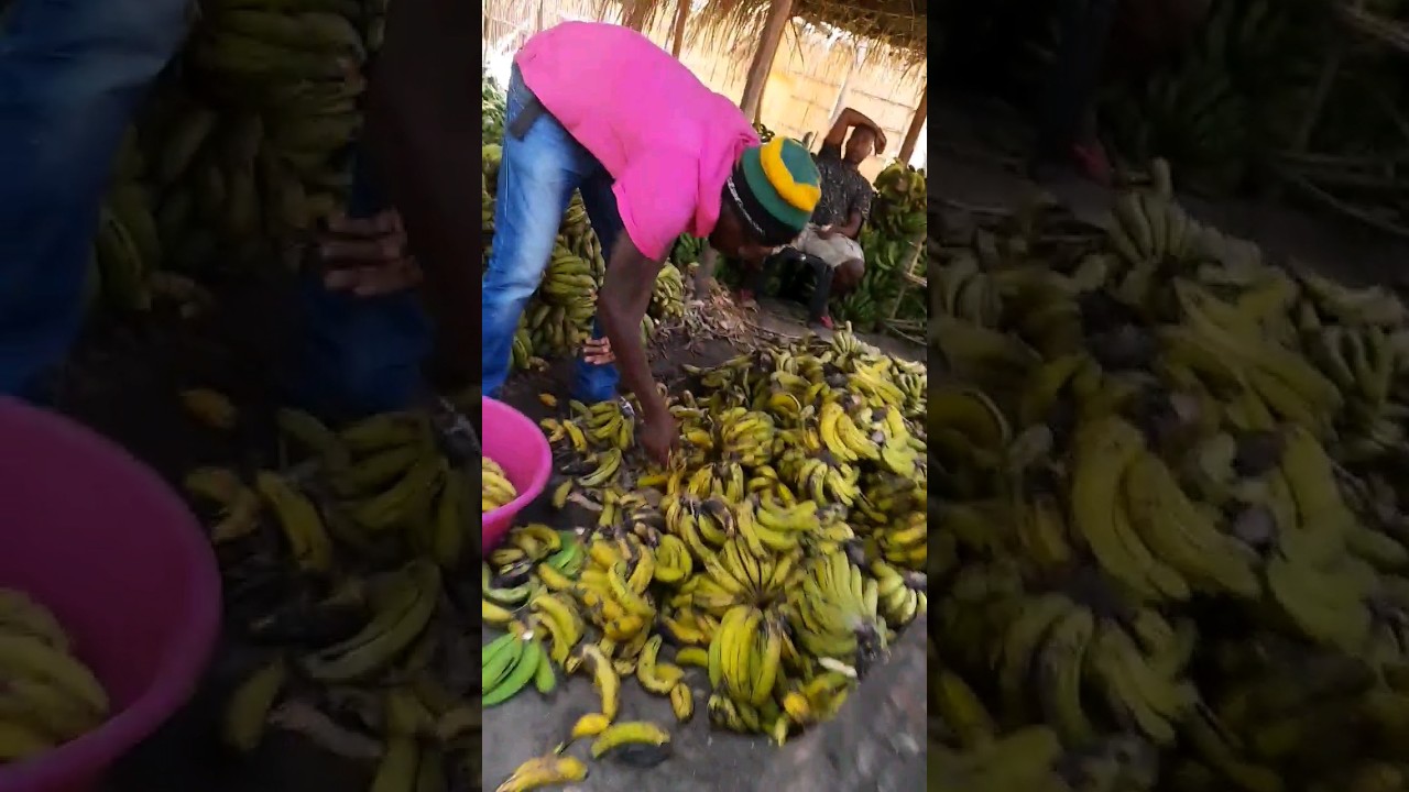 Bananalándia #shorts #moçambique #áfrica #food