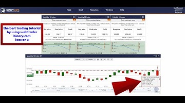 lesson 3, binary rise fall strategy, best tutorial trading on webtrader binary com