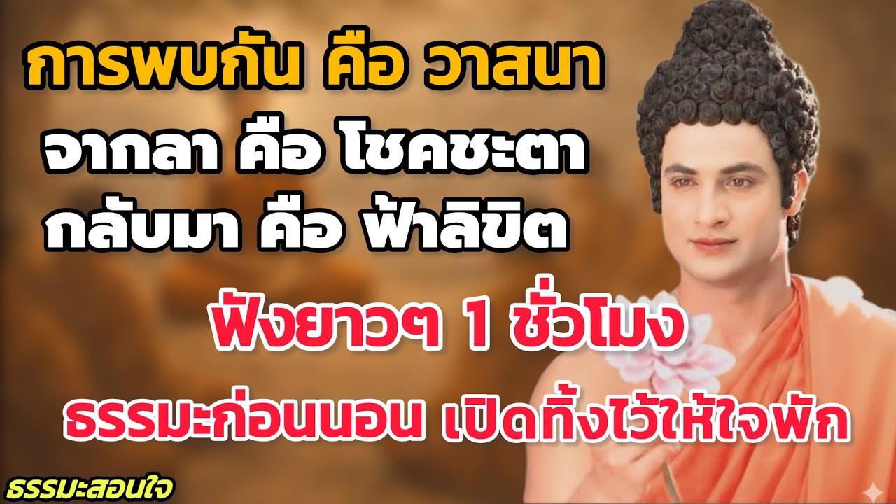การพบกัน คือ วาสนาจากลา คือ โชคชะตากลับมา คือ ฟ้าลิขิต | ธรรมะยาว ๆ ฟังก่อนนอน ใจสงบ // #ธรรมะสอนใจ 