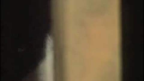 Thorndike - Law of Effect