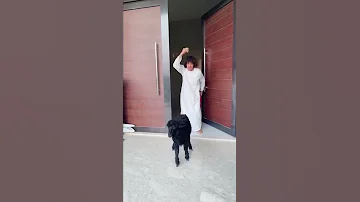 لما ابوك يجيب خروف العيد و تهربه من وراه 