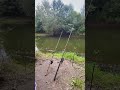 Рибалка на річці Горинь #fishing #рыбалканафидер