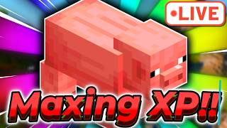 🔴Maxing SkyBlock XP By Slaughtering Shiny Pigs!! 🔴 Hypixel SkyBlock LIVE