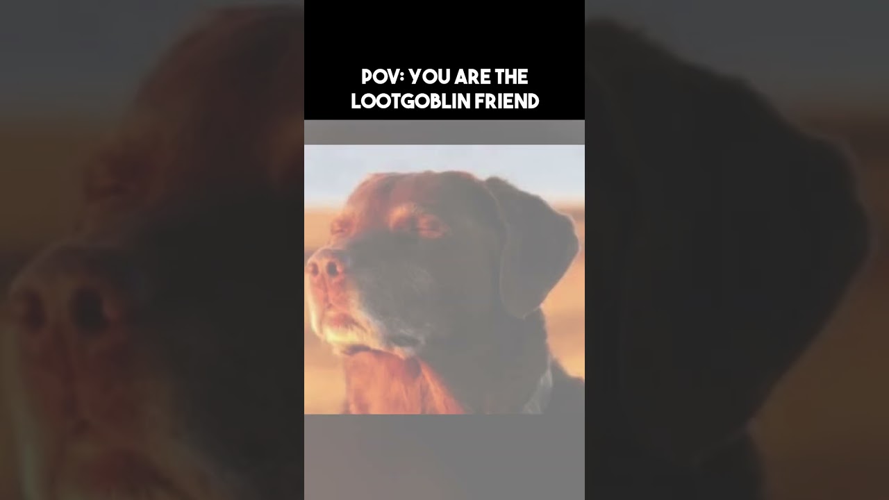 POV YOU ARE THE LOOTGOBLIN FRIEND