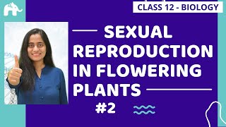 Sexual Reproduction in Flowering plants Class 12 #2| Pollination |Double Fertiization | CBSE NEET