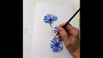 Рисуем васильки