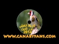 شريط الخيلى نور الدين 2014