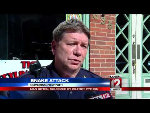 Python nearly kills reptile store worker