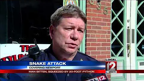 Python nearly kills reptile store worker