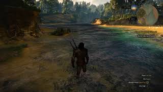 witcher 3 shadow and water issue