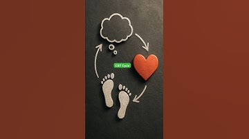 The CBT Cycle: Thoughts to Feelings to Actions