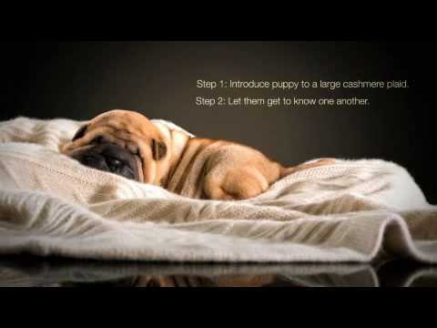 Repeat Cashmere - Accessories movie