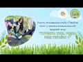 Загальнонаціональна трудова акція "Турбота тобі, рідна моя Україно!"
