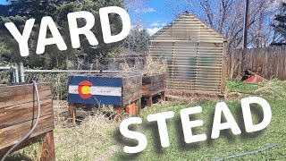 YARD-STEAD 03 Update!