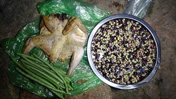 SĂN GÀ RỪNG, CHÁO ĐẬU GÀ RỪNG, NGỦ RỪNG, TRẢI NGHIỆM HOANG DÃ | T16