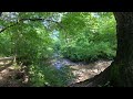 Insta360 X3 video tour of the gorge trail at Sharon Woods. Cincinnati, Ohio