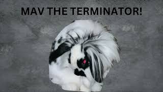 Maverick "Top Bun"