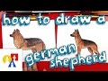 How To Draw A German Shepherd