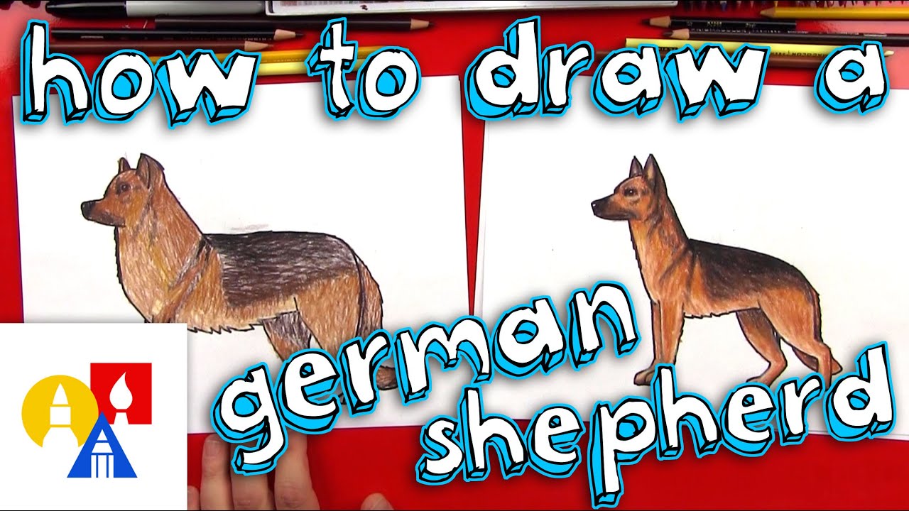 How To Draw A German Shepherd Youtube