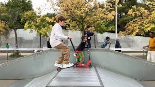 IMG 0753