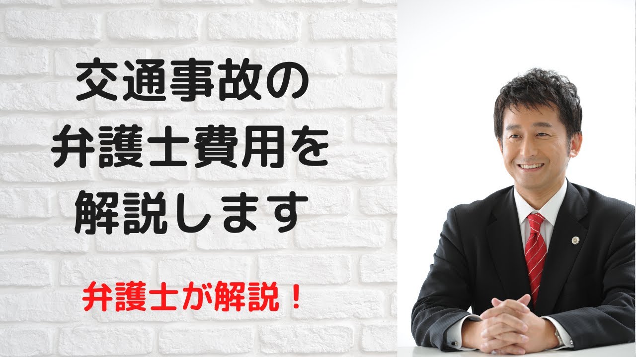 費用 弁護士 弁護士費用・司法書士費用の目安｜法テラス