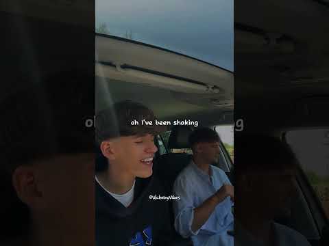 There S Nothing Holding Me Back Shawn Mendes Lyrics Asthetic Shawnmendes Cover