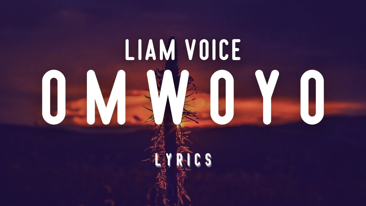 Liam Voice. Love your Voice mp3.