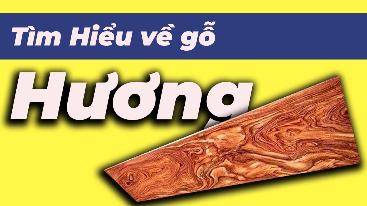 Cách phân biệt các loại gỗ Hương | Tránh mua nhầm Gỗ Hương Giả