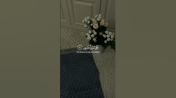 سورة الصافات ، أحمد النفيس 🌱.