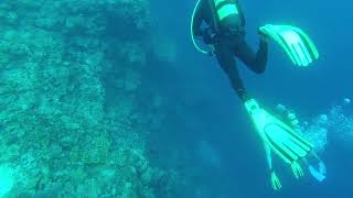 Dive in Bay of Pigs, 3, Cuba, 03/07/2017