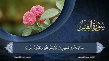 105 | سورة الفيل | الشيخ أحمد النفيس