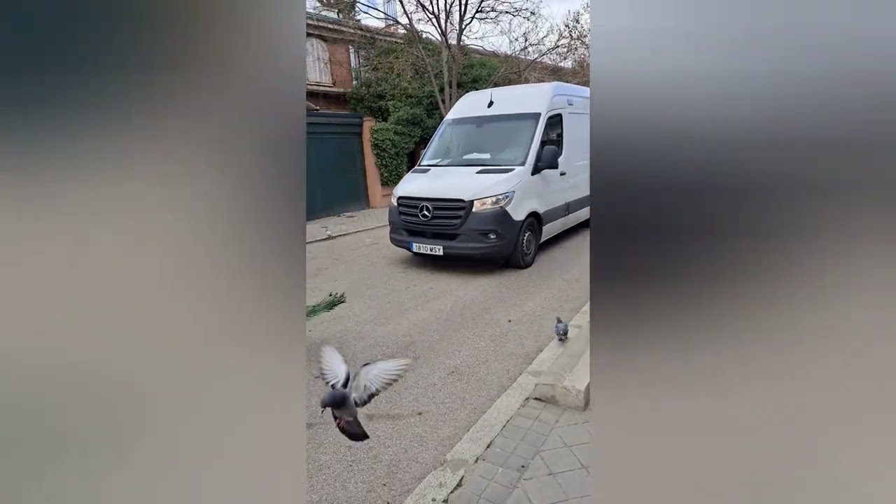 Retazos de la Quinta