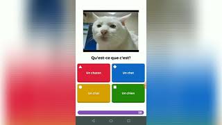 Aprendendizaje divertido ✨ aprende Francés screenshot 2