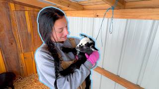 My First Baby on the Farm!!!