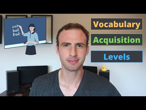 The Stages of Vocabulary Acquisition in Language Learning