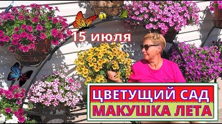 ЯРКОЕ ЦВЕТЕНИЕ  сада. Обзор  на 15 июля