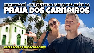 PRAIA DOS CARNEIROS + TAMANDARÉ - PE: Roteiro COMPLETO de 2 Dias (PREÇOS, DICAS e HOSPEDAGEM)