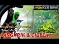 Ampuh 100 Therapy Plus Masteran Burung Macet Omkicau(.mp3 .mp4) Mp3 - Mp4 Download