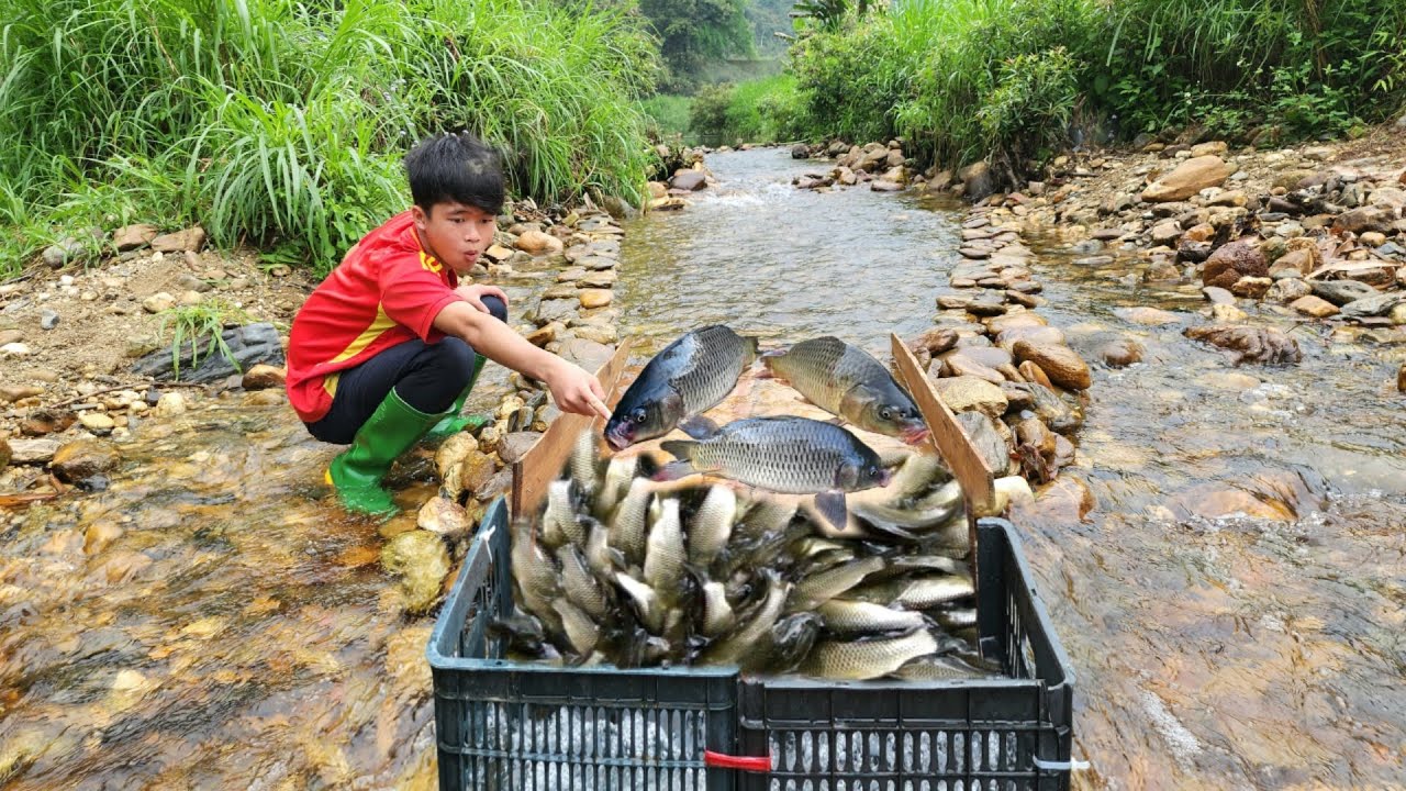 The boy used a wooden slide to trap fish and unexpectedly caught a lot ...
